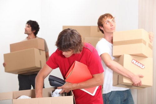 Image representing inclusive and accessible Finchley Removals content