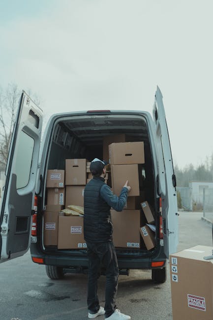 Two movers from Finchley Removals are inside a bright, spacious room with large arched windows allowing natural daylight to illuminate the space. They are engaged in a home relocation process, each ca